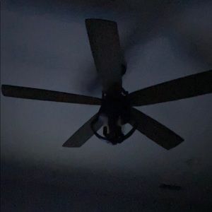 Meet your Posher, Bo